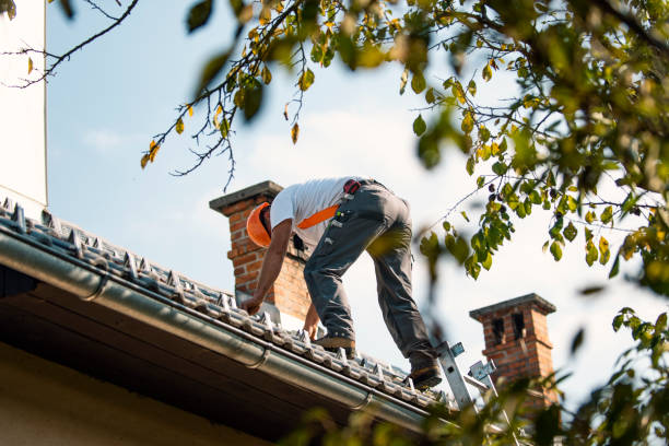 Roof Gutter Cleaning in Hoboken, NJ